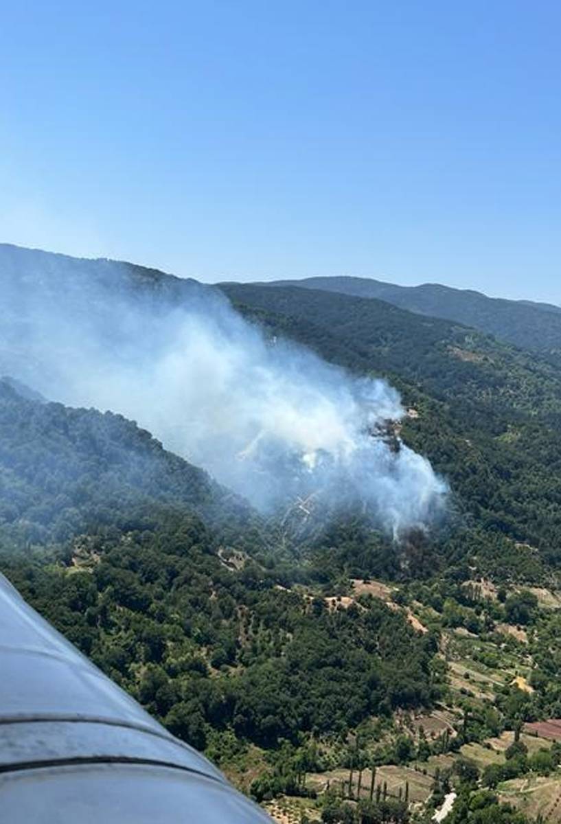 Yine orman yangını 'sınavı': Alevlerle mücadelede son durum ne? 10
